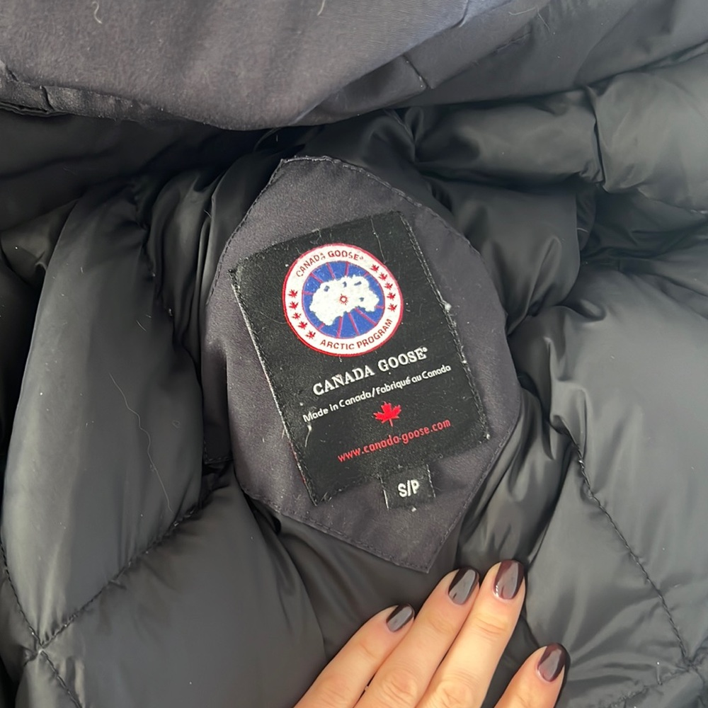 Canada Goose Down
